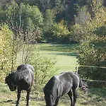 Отель типа 