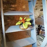 Micro-cottage In Pietra La Ratatouille Отель типа 
