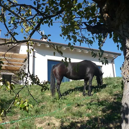 Alojamento de Acomodação e Pequeno-almoço Micro-cottage In Pietra La Ratatouille
