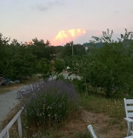 Micro-cottage In Pietra La Ratatouille 3*