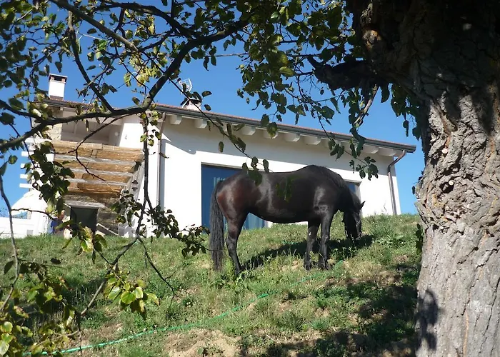 Alojamento de Acomodação e Pequeno-almoço Micro-cottage In Pietra La Ratatouille